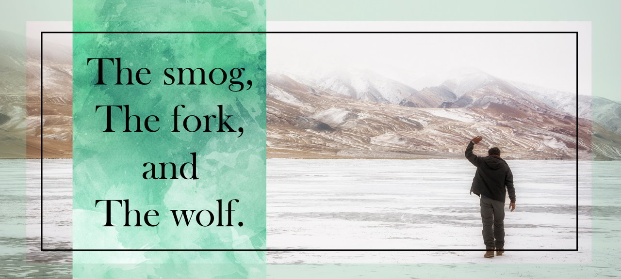 travel blog, vlog, travel club, travel insurance, work and travel